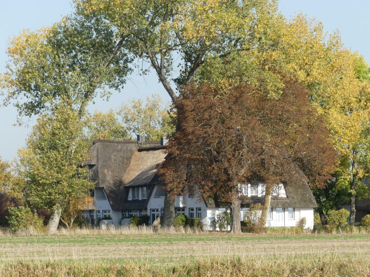 Landhaus Am Haff Stolpe auf Usedom エクステリア 写真